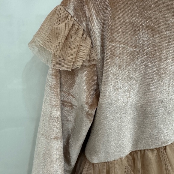 Zara Girls Velvet Tull Dress in Light Pink - Picture 3 of 5